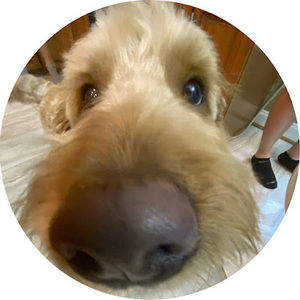 Meet your Posher, Noa